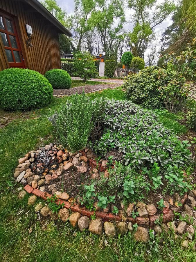 Ferienhaus in absoluter Seenähe für 4 Personen Arendsee  Exterior foto